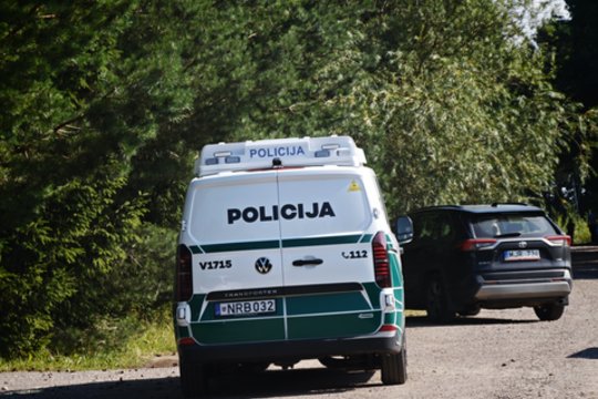 Po siaubingos žmogžudystės Vilniaus r. – nauji faktai: tragedijos vietoje buvęs vaikas perduotas tėčiui