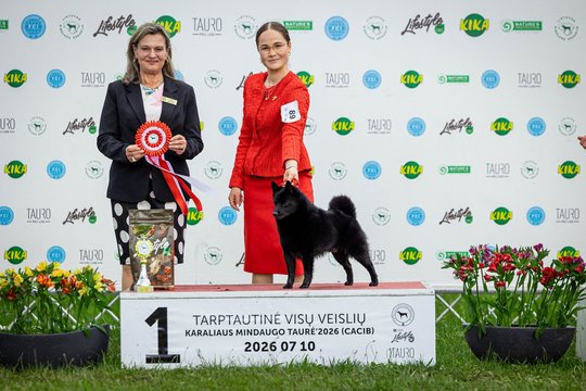Vilnietės hobis nustebina ne vieną: net močiutė įsitraukė, o dabar laukia Europos čempionatas