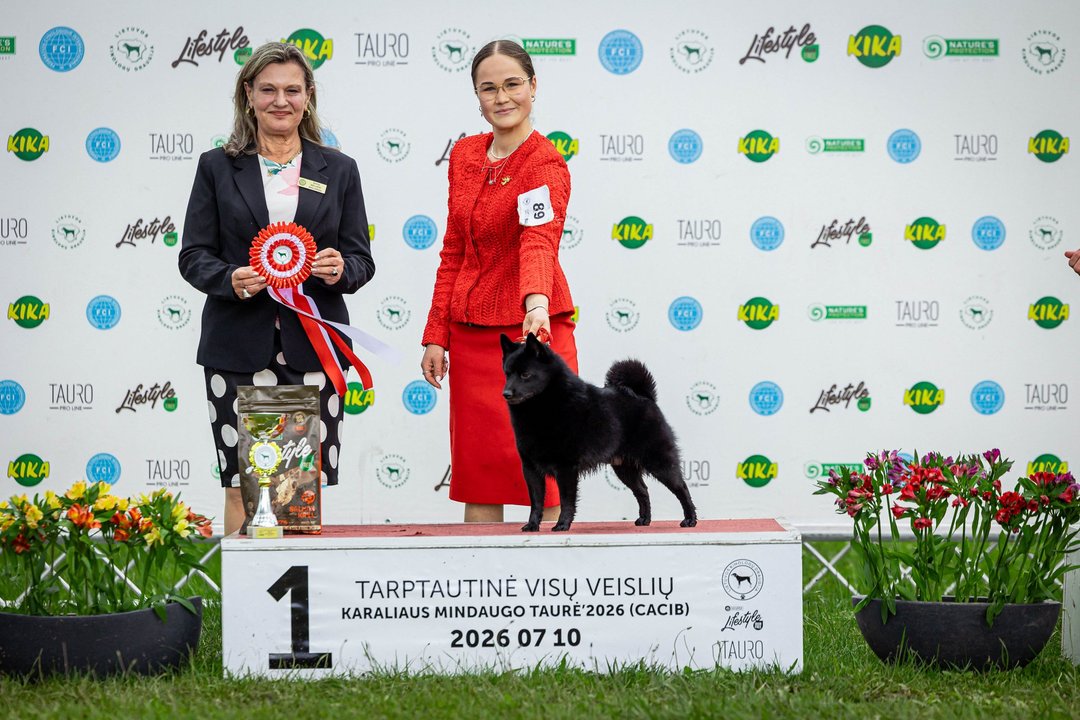 Vilnietės hobis nustebina ne vieną: net močiutė įsitraukė, o dabar laukia Europos čempionatas