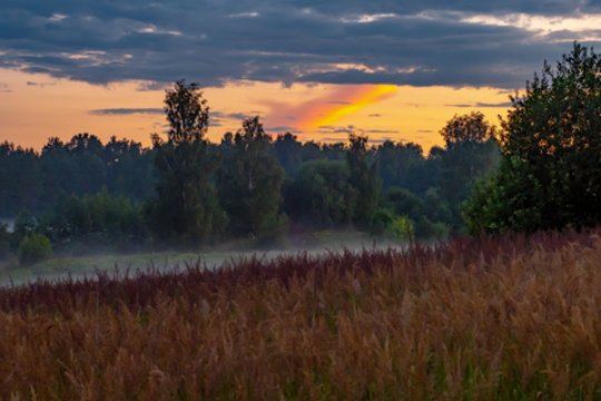 Ką pranašavo rugpjūčio 5-osios orai: senovės lietuvių išmintis įspėja ir ko būtina vengti
