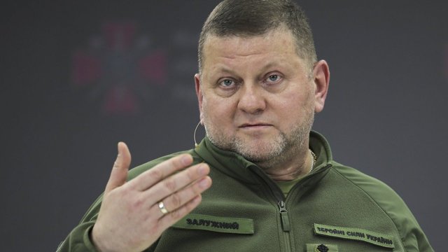 V. Zalužno pasisakymą laiko bandymu įsitvirtinti Ukrainos politikoje: jis yra neteisus