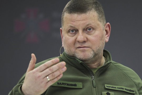 V. Zalužno pasisakymą laiko bandymu įsitvirtinti Ukrainos politikoje: jis yra neteisus