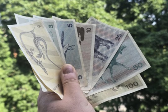 Kas dar prisimena tokius banknotus? Lietuvoje kurį laiką jie buvo itin svarbūs