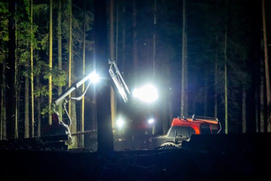 9 mln. eurų užstatas kauniečio S. Dambrausko fondui: miškų urėdija siekia atlaisvinti kelią kirtimams