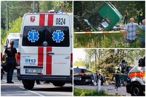 Po 3 gyvybes nusinešusios kaktomušos Vilniaus r. prabilo sunkvežimio vairuotojas: tai įvyko akimirksniu