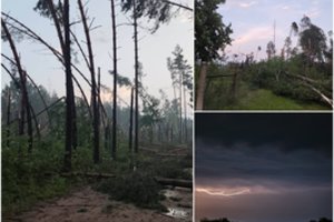 Po galingos audros – sukrečiantys vaizdai iš Dzūkijos: aiškėja milžiniška žala