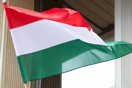 Vengrijos valdančioji partija į prezidento postą nominavo V. Orbano kritiką