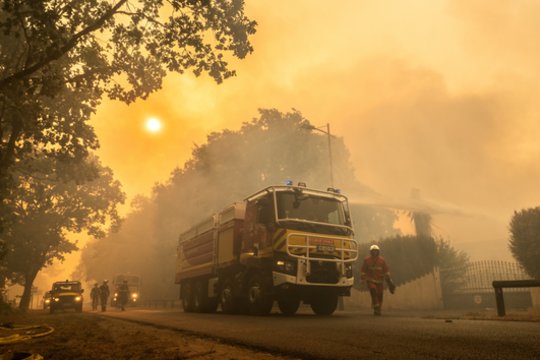 Prancūzijoje sustabdytas gaisro plitimas: dėl karščių pavojus dar neišnyko