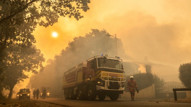 Prancūzijoje sustabdytas gaisro plitimas: dėl karščių pavojus dar neišnyko