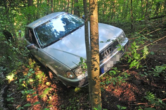 Girto vairuotojo „Audi“ Širvintų r. rėžėsi į medį
