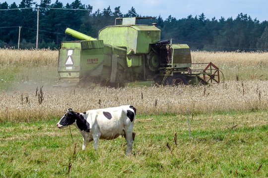 Lietuvos ūkininkus šiemet pasieks beveik 20 mln. eurų parama: skelbia, kam ją dalins