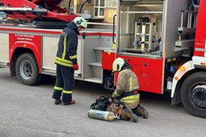 Kauno rajone užsidegė grūdų džiovyklė