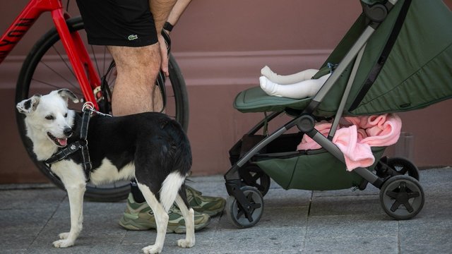 V. Čmilytė-Nielsen – apie VPA išmokas ir gimstamumo gelbėjimą: atidėlioja ne dėl to, kad nenori