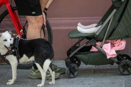 V. Čmilytė-Nielsen – apie VPA išmokas ir gimstamumo gelbėjimą: atidėlioja ne dėl to, kad nenori