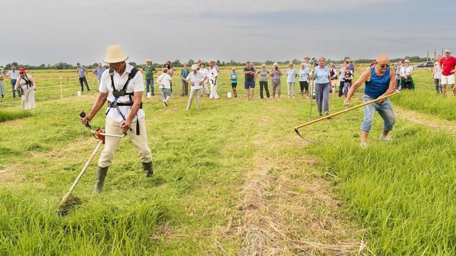 Šienpjovių čempionato dalyviai pasidalijo, kas buvo sunkiausia: galėjau ir greičiau