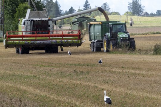 Beveik 20 mln. eurų paramą ūkininkams planuojama išmokėti be paraiškų
