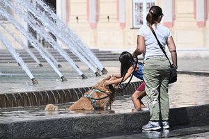 Europa ruošiasi dar vienai vasaros karščio bangai