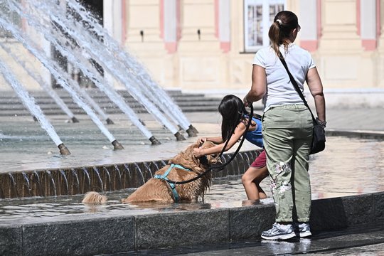 Europa ruošiasi dar vienai vasaros karščio bangai