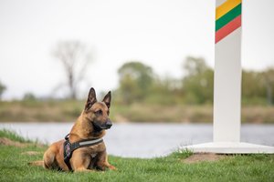 Lietuvos kinologai Latvijoje padėjo sulaikyti 11 neteisėtų migrantų