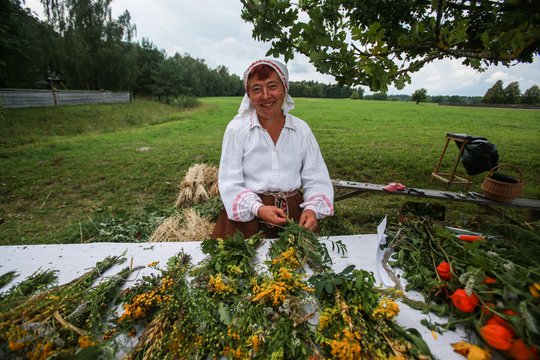 „Žinovų klubo“ testas. Ką žinote apie žolines?