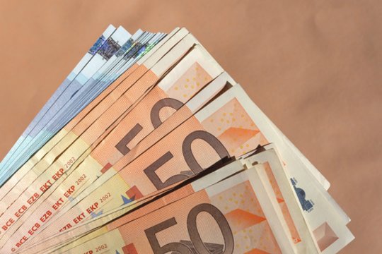 Alytaus rajone iš namų pavogta rankinė su 4 500 eurų