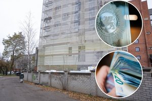 Pastatų šiltinimo įmonė dvejus metus slėpė pinigus: valstybei padaryta didžiulė žala