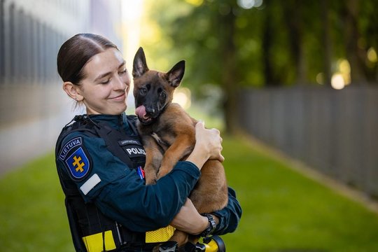 Meilumo įsikūnijimas Pipiras išaugs į nusikaltimų tyrėją: kimba į darbą policijoje
