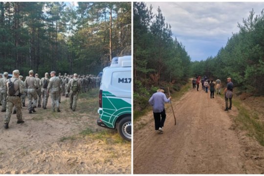 Sėkminga kelias dienas miške kladžiojusios senjorės paieška: pastebėti buvo sunku