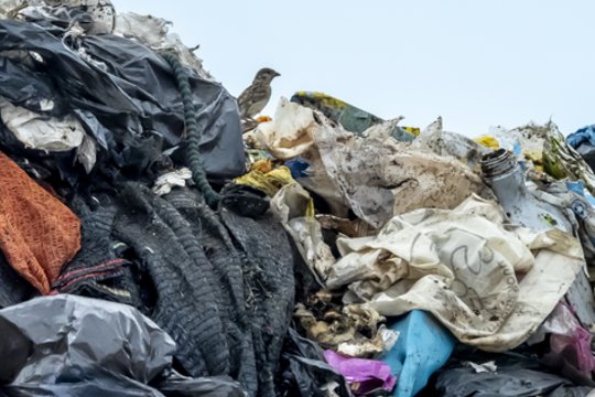 Šiukšlių smarvės kamuojamai sostinei liko tik viena išeitis: „Tai gali būti bomba“