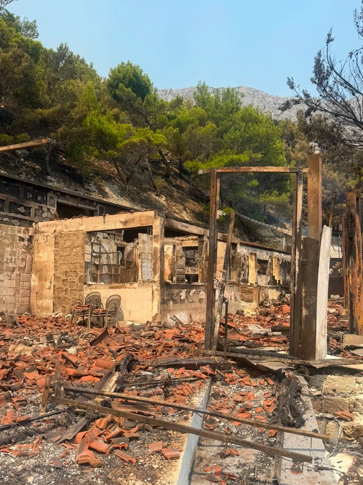Miško gaisro Kroatijoje padariniai.<br>Asmeninio archyvo nuotr.