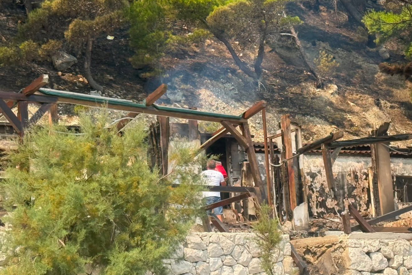 Miško gaisro Kroatijoje padariniai.<br>Asmeninio archyvo nuotr.