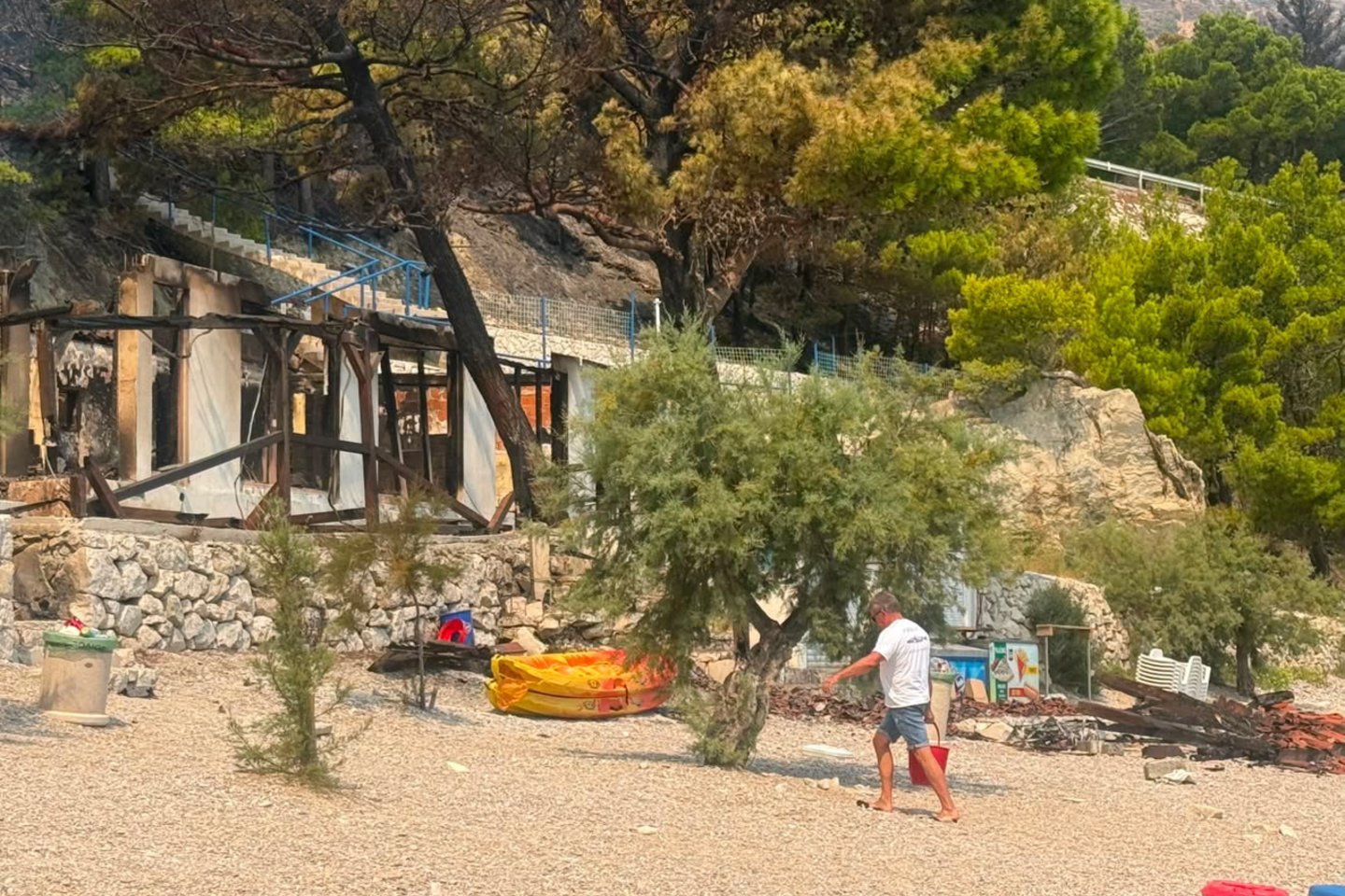 Miško gaisro Kroatijoje padariniai.<br>Asmeninio archyvo nuotr.