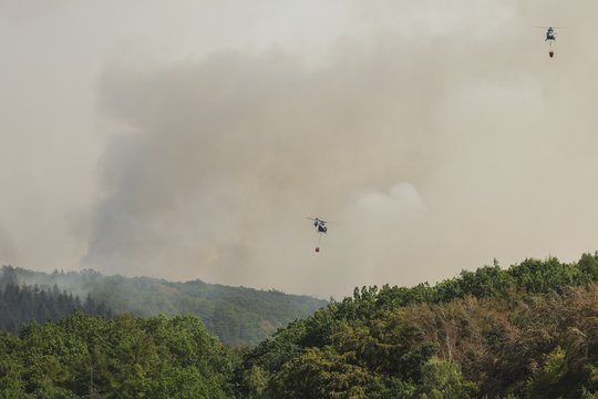 Belgijoje – siaubingi gaisrai, šalis prašo ES pagalbos