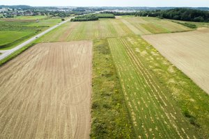 Svarbi žinia ūkininkams – nuo rugsėjo 1 dienos galės teikti paraiškas paramai