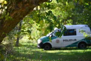 Neringoje esančiame miške – kraupus radinys
