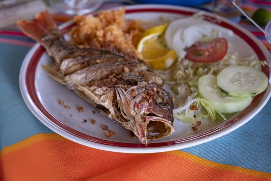 Dar negirdėtas marinatas žuviai: vos keli lapeliai ir upėtakio negalėsite atsivalgyti 