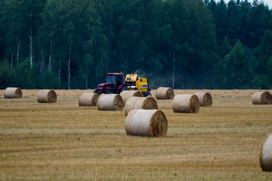 Dėl Lietuvoje plintančios pavojingos ligos – svarbi žinia ūkininkams