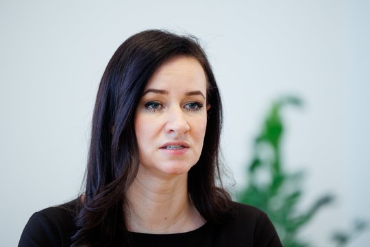 I. Ruginienė sako nežinanti aplinkybių, kodėl R. Liubajevas neinformavo M. Katelyno apie incidentą pasienyje