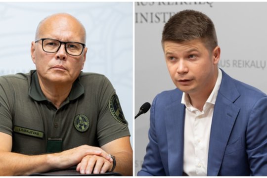 R. Liubajevą senu vilku vadinęs S. Malinauskas pastebi įdomią situaciją: klausimų kyla dėl M. Katelyno