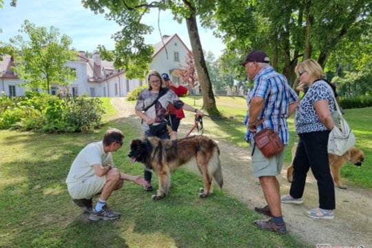 Šunų festivalyje Rokiškio r. visų dėmesį prikaustė aklas šuo: stebino ypatingais sugebėjimais