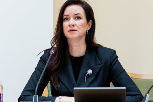 I. Ruginienei – aštrūs konservatorių klausimai: sukosi apie pažeidžiamą grupę ir rusų kalbą