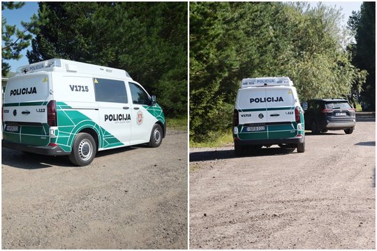 Po kraupaus nužudymo Avižieniuose – nauja žinia apie įtariamąjį