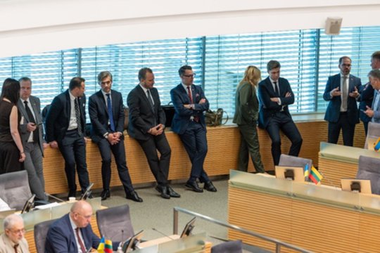 Politikos džiunglėse – kovos be taisyklių