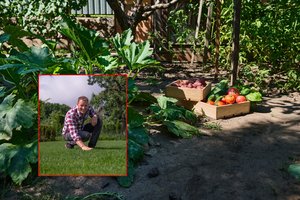 Karštį keičia liūtys – daržuose prasideda bėdos: T. Gurskas sudėliojo derliaus gelbėjimo planą