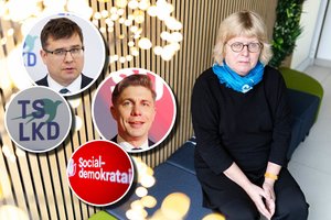 Sociologė bedė pirštu į esminę didžiųjų partijų problemą: „Jos nori būti mylimos visų“