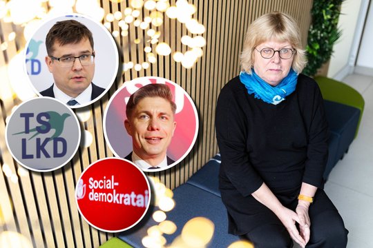 Sociologė bedė pirštu į esminę didžiųjų partijų problemą: „Jos nori būti mylimos visų“