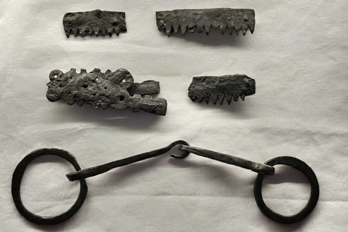 Brangių lietuviškų kamanų fragmentai.<br> A. Rutkausko nuotr.