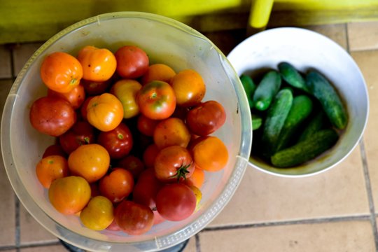 Pomidorai šalia agurkų – pasakė, kodėl jų negalima laikyti kartu