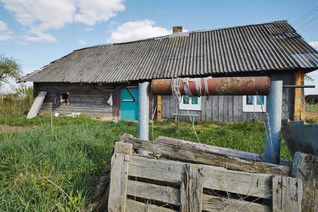 Ukrainietė pusvelčiui nusipirko nedidukę „lūšną“ – po pusmečio kaimynai jos nebeatpažino