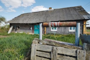 Ukrainietė pusvelčiui nusipirko nedidukę „lūšną“ – po pusmečio kaimynai jos nebeatpažino